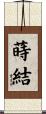 蒔結 Scroll