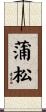 蒲松 Scroll