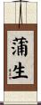蒲生 Scroll