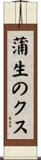 蒲生のクス Scroll