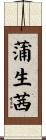 蒲生茜 Scroll