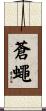 蒼蠅 Scroll