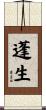 蓬生 Scroll