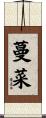 蔓菜 Scroll