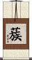 蔟 Scroll