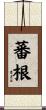 蕃根 Scroll