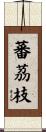 蕃茘枝 Scroll