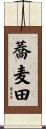 蕎麦田 Scroll
