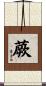 蕨 Scroll
