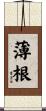 薄根 Scroll