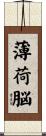 薄荷脳 Scroll