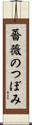 薔薇のつぼみ Scroll