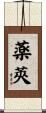 薬莢 Scroll