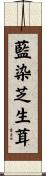 藍染芝生茸 Scroll