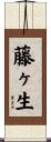 藤ヶ生 Scroll