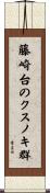 藤崎台のクスノキ群 Scroll