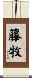 藤牧 Scroll