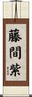 藤間紫 Scroll