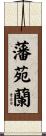 藩苑蘭 Scroll