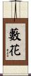 藪花 Scroll