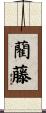 藺藤 Scroll