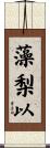 藻梨以 Scroll