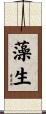 藻生 Scroll