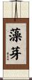 藻芽 Scroll