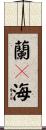 蘭々海 Scroll