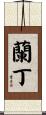 Landyn Scroll