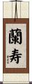 蘭寿 Scroll
