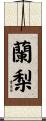蘭梨 Scroll