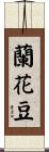 蘭花豆 Scroll