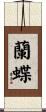 蘭蝶 Scroll