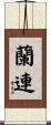 蘭連 Scroll