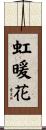 虹暖花 Scroll