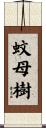 蚊母樹 Scroll