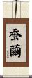 蚕繭 Scroll