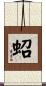 蛁 Scroll