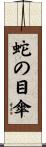 蛇の目傘 Scroll
