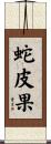 蛇皮果 Scroll