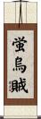 蛍烏賊 Scroll