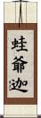 蛙爺迦 Scroll
