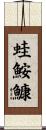 蛙鮟鱇 Scroll