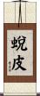 蛻皮 Scroll
