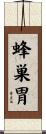 蜂巣胃 Scroll