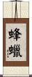 蜂蠟 Scroll