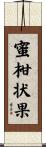 蜜柑状果 Scroll