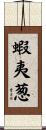 蝦夷葱 Scroll