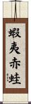蝦夷赤蛙 Scroll